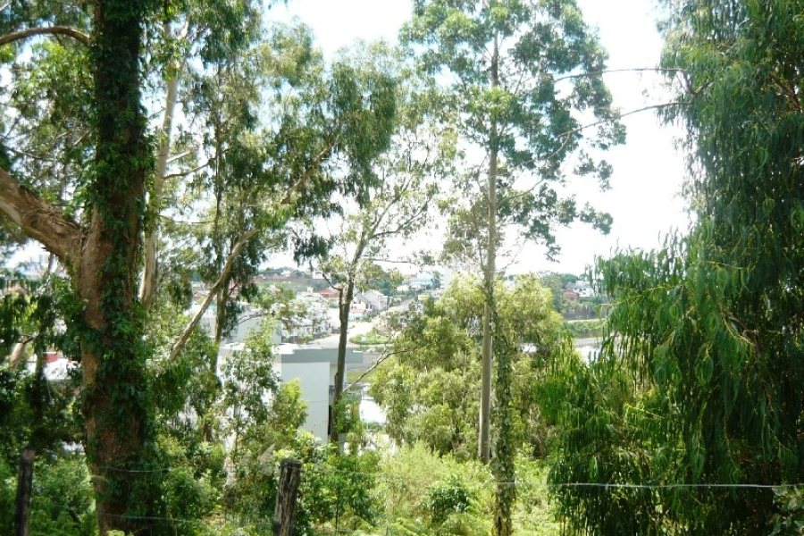 Terreno com 405m², no bairro Sanvitto em Caxias do Sul para Comprar
