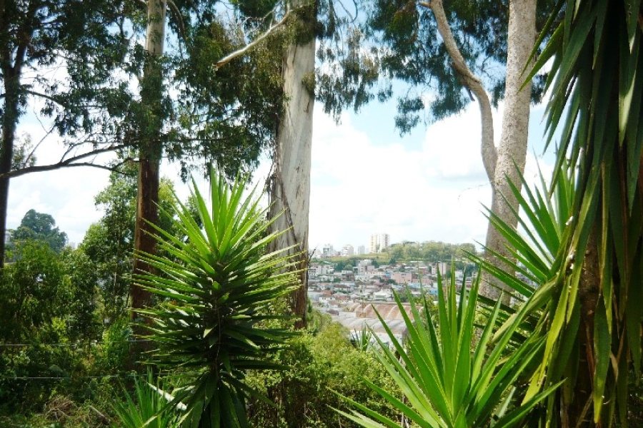 Terreno com 405m², no bairro Sanvitto em Caxias do Sul para Comprar