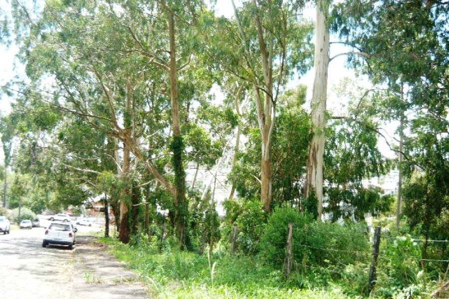 Terreno com 405m², no bairro Sanvitto em Caxias do Sul para Comprar