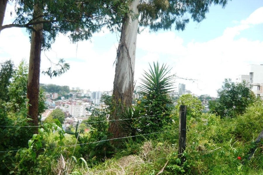 Terreno com 405m², no bairro Sanvitto em Caxias do Sul para Comprar