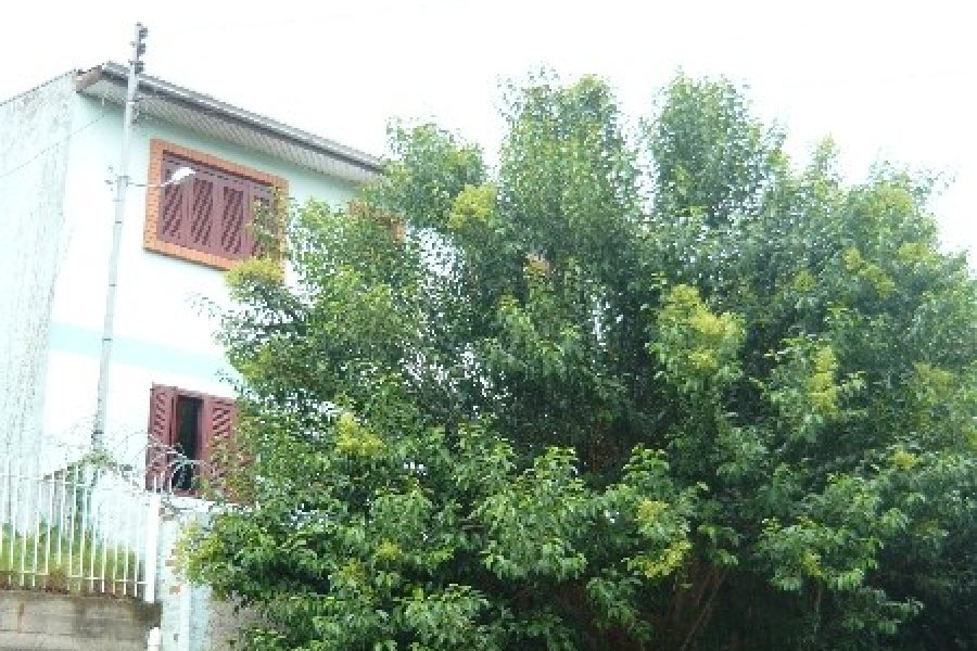 Casa com 136m², 4 dormitórios, 1 vaga, no bairro Santa Catarina em Caxias do Sul para Comprar