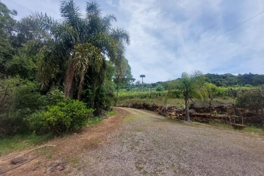 Casa com 73m², 3 dormitórios, 3 vagas, no bairro 9 Legua em Caxias do Sul para Comprar