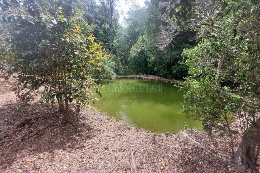 Casa com 73m², 3 dormitórios, 3 vagas, no bairro 9 Legua em Caxias do Sul para Comprar