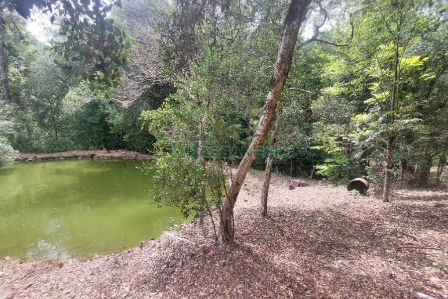 Casa com 73m², 3 dormitórios, 3 vagas, no bairro 9 Legua em Caxias do Sul para Comprar