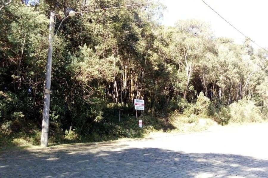Terreno, no bairro Centro em Caxias do Sul para Comprar