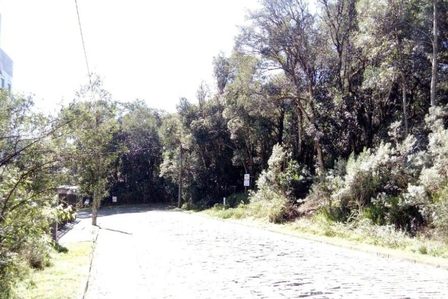 Terreno, no bairro Centro em Caxias do Sul para Comprar