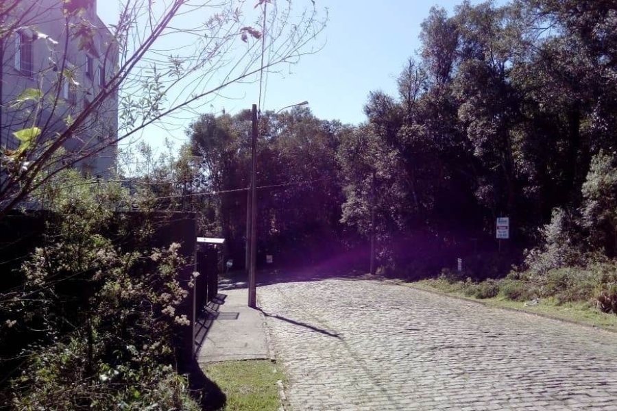 Terreno, no bairro Centro em Caxias do Sul para Comprar