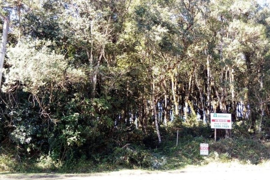 Terreno, no bairro Centro em Caxias do Sul para Comprar
