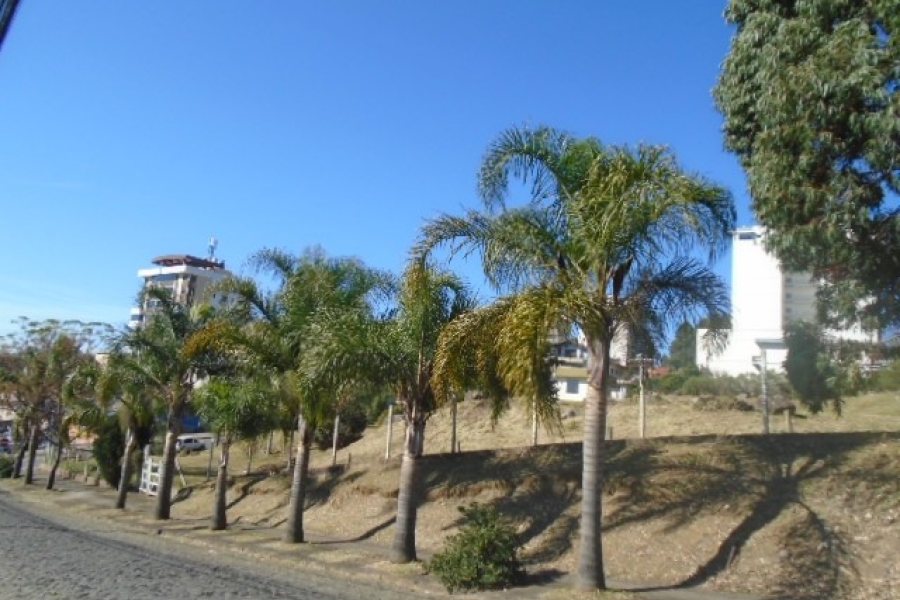 Terreno, no bairro Sanvitto em Caxias do Sul para Comprar