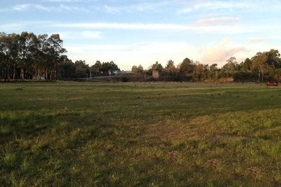 Pavilhão com 25000m², no bairro Cidade Nova em Caxias do Sul para Alugar