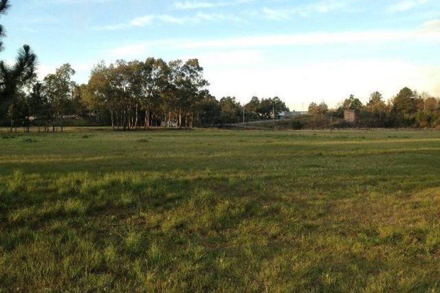 Pavilhão com 25000m², no bairro Cidade Nova em Caxias do Sul para Alugar