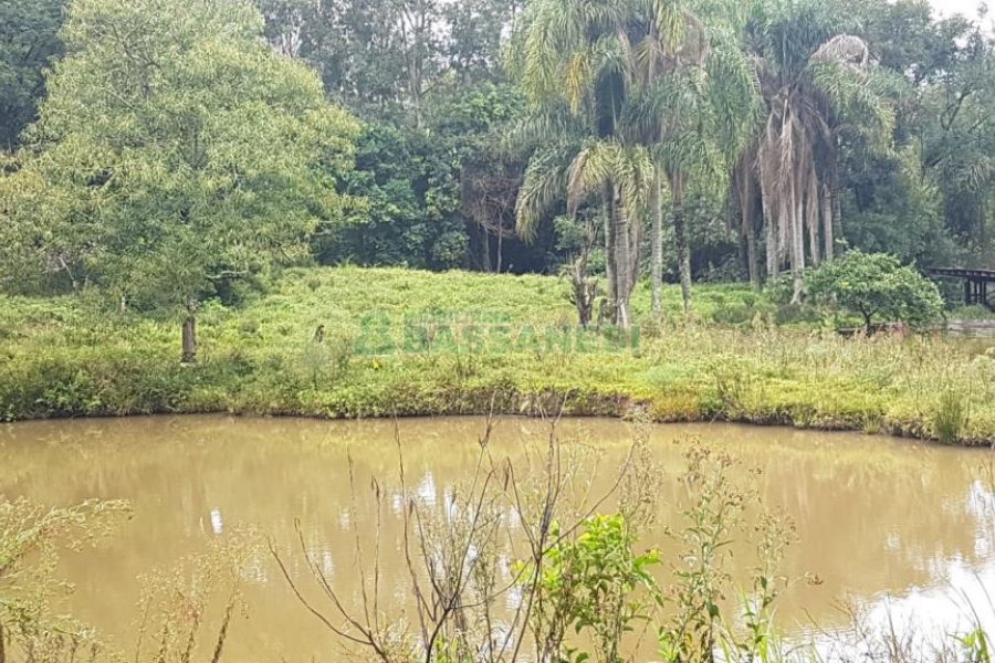 Chácara com 250m², 3 dormitórios, no bairro Conceição em Caxias do Sul para Comprar