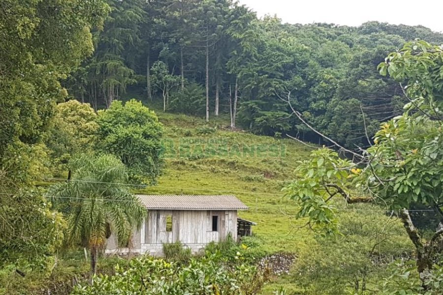 Chácara com 250m², 3 dormitórios, no bairro Conceição em Caxias do Sul para Comprar