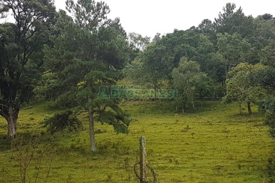 Chácara com 250m², 3 dormitórios, no bairro Conceição em Caxias do Sul para Comprar