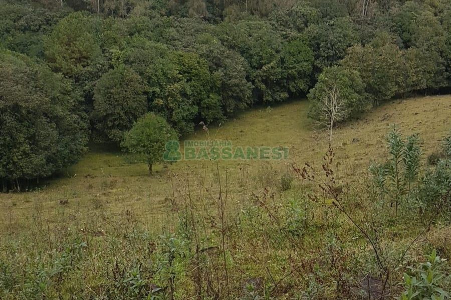 Chácara com 250m², 3 dormitórios, no bairro Conceição em Caxias do Sul para Comprar