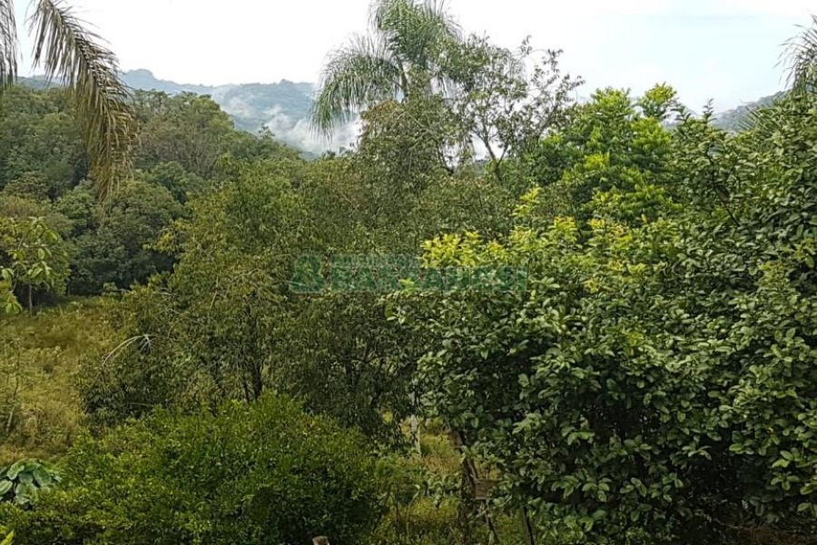 Chácara com 250m², 3 dormitórios, no bairro Conceição em Caxias do Sul para Comprar