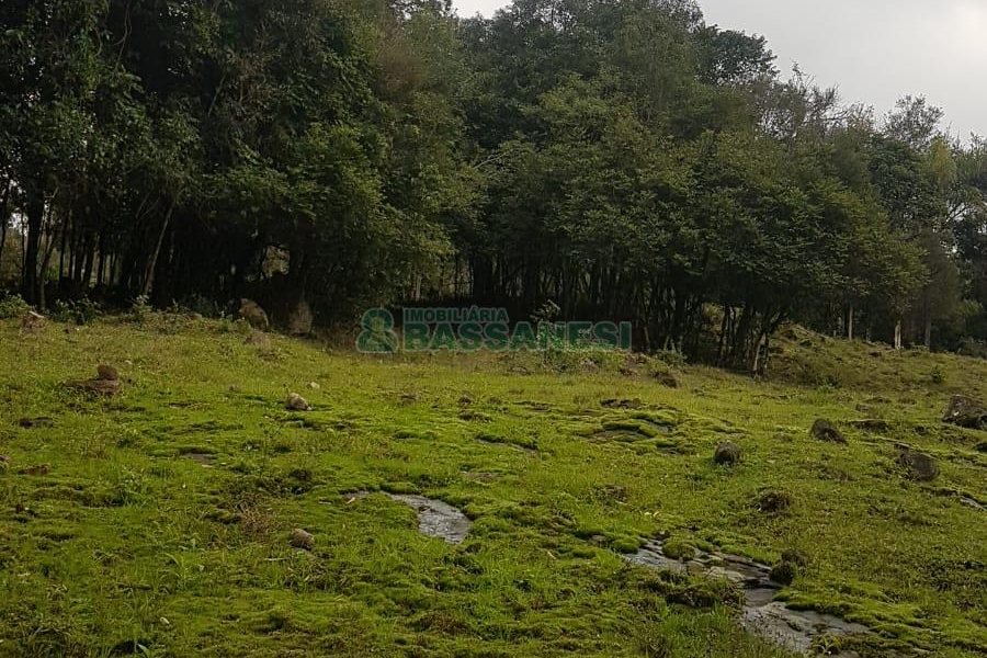 Chácara com 250m², 3 dormitórios, no bairro Conceição em Caxias do Sul para Comprar