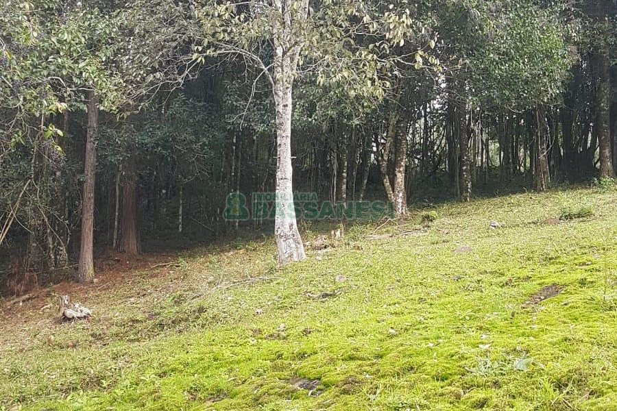Chácara com 250m², 3 dormitórios, no bairro Conceição em Caxias do Sul para Comprar
