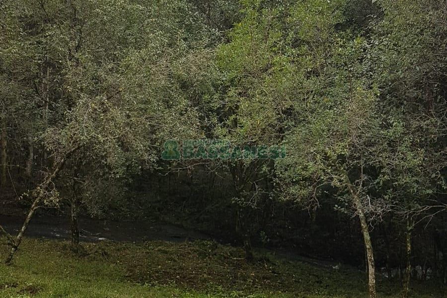 Chácara com 250m², 3 dormitórios, no bairro Conceição em Caxias do Sul para Comprar