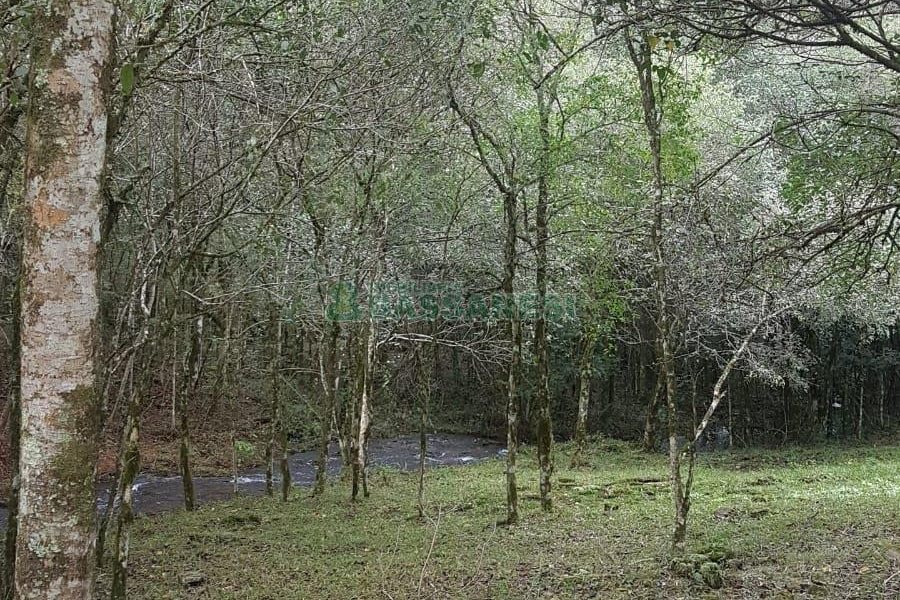 Chácara com 250m², 3 dormitórios, no bairro Conceição em Caxias do Sul para Comprar