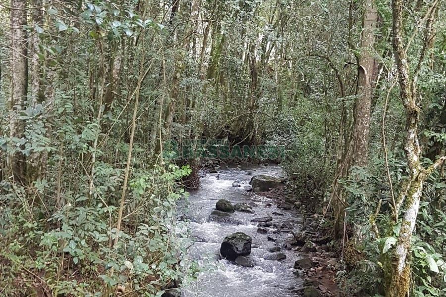 Chácara com 250m², 3 dormitórios, no bairro Conceição em Caxias do Sul para Comprar