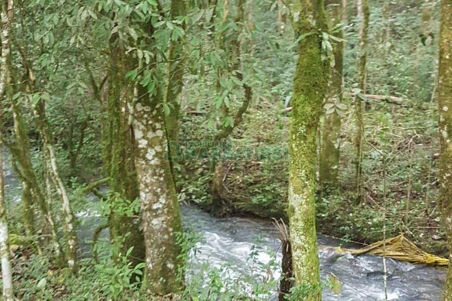 Chácara com 250m², 3 dormitórios, no bairro Conceição em Caxias do Sul para Comprar