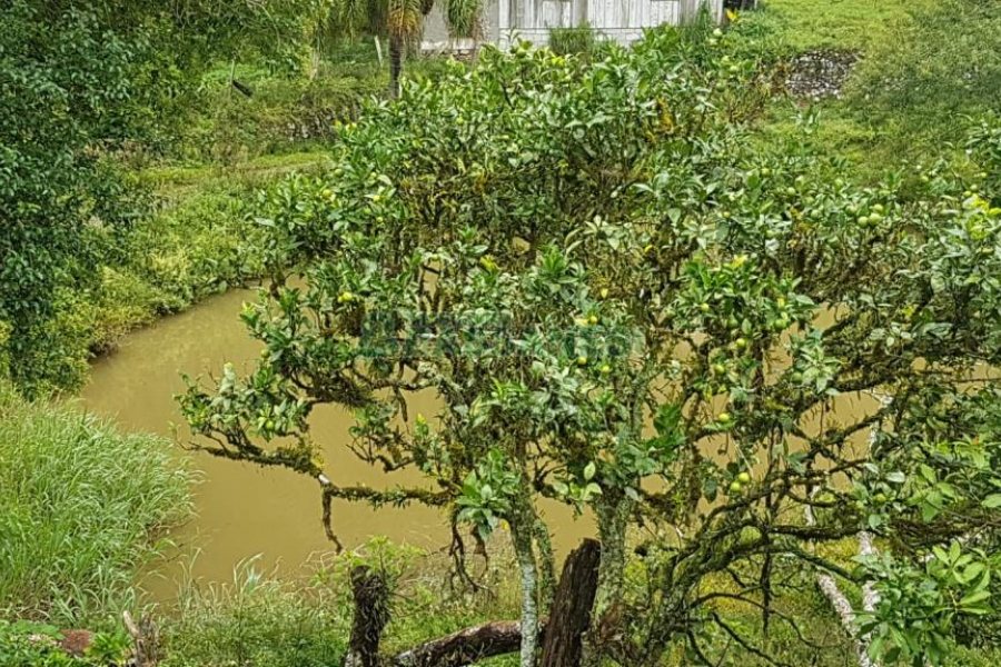 Chácara com 250m², 3 dormitórios, no bairro Conceição em Caxias do Sul para Comprar