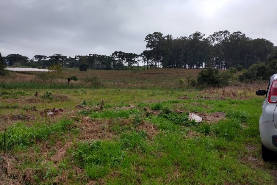 Terreno com 4896m², no bairro Nossa Senhora da Saúde em Caxias do Sul para Comprar