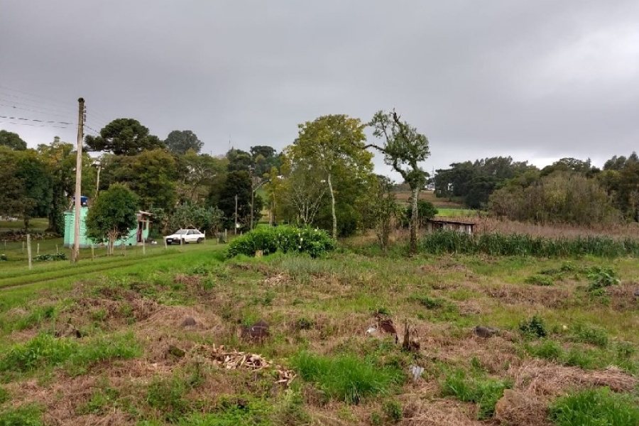 Terreno com 4896m², no bairro Nossa Senhora da Saúde em Caxias do Sul para Comprar