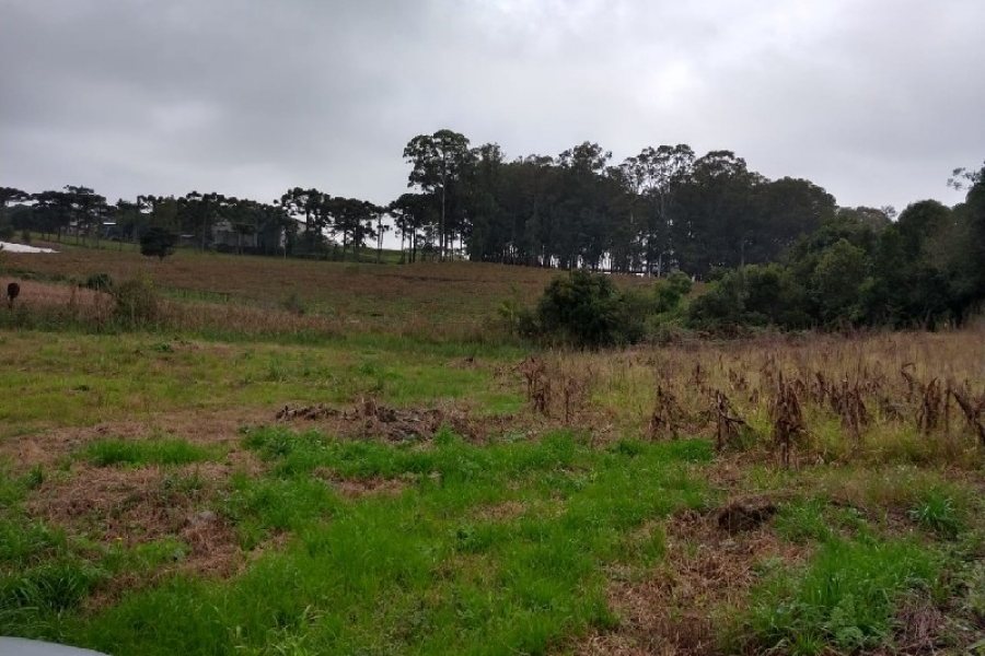 Terreno com 4896m², no bairro Nossa Senhora da Saúde em Caxias do Sul para Comprar