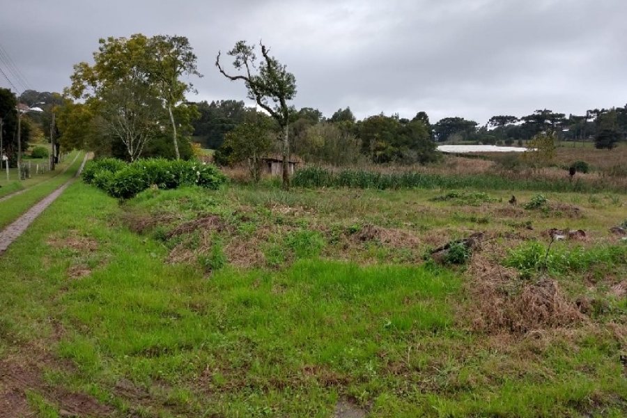 Terreno com 4896m², no bairro Nossa Senhora da Saúde em Caxias do Sul para Comprar