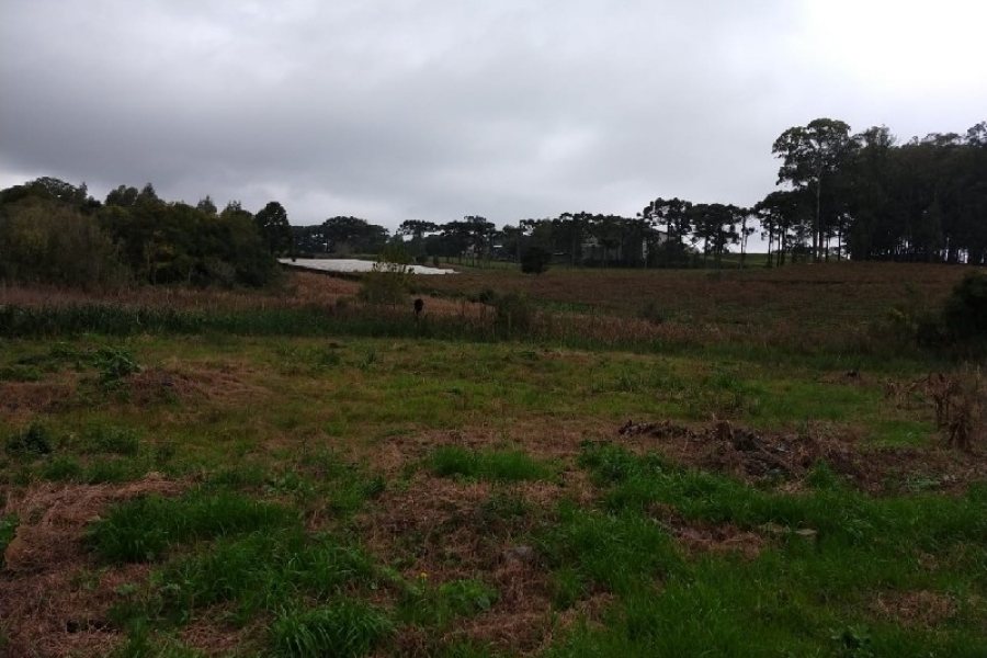 Terreno com 4896m², no bairro Nossa Senhora da Saúde em Caxias do Sul para Comprar