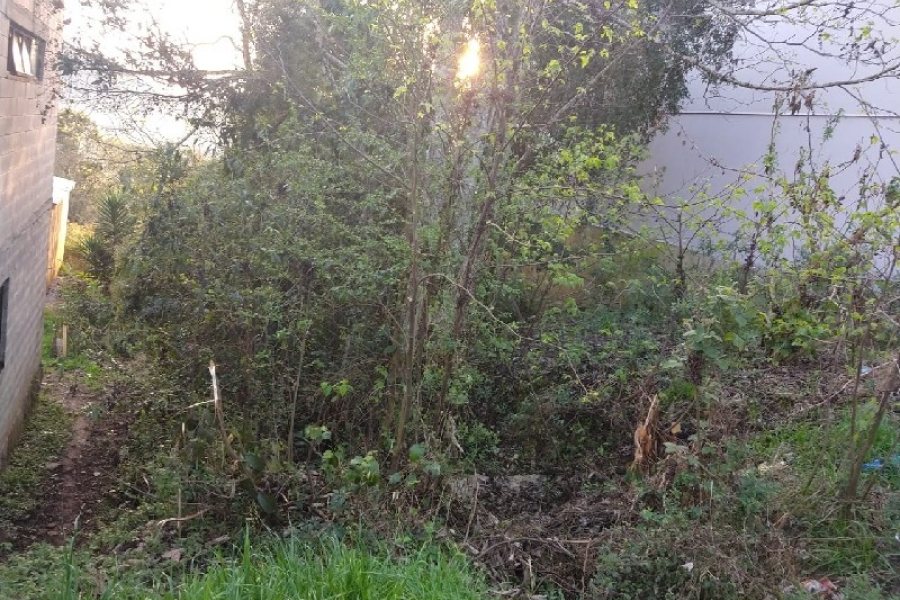 Terreno com 360m², no bairro Santa Catarina em Caxias do Sul para Comprar