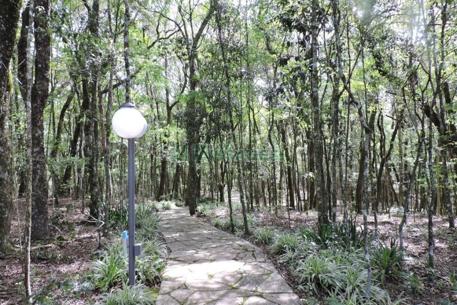 Chácara com 20000m², 8 dormitórios, no bairro Nossa Senhora da Saúde em Caxias do Sul para Alugar ou Comprar