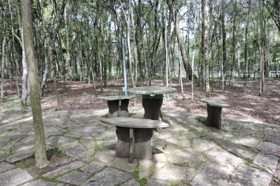 Chácara com 20000m², 8 dormitórios, no bairro Nossa Senhora da Saúde em Caxias do Sul para Alugar ou Comprar