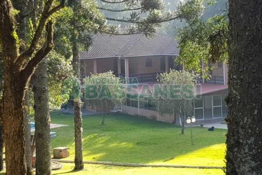 Chácara com 20000m², 8 dormitórios, no bairro Nossa Senhora da Saúde em Caxias do Sul para Alugar ou Comprar