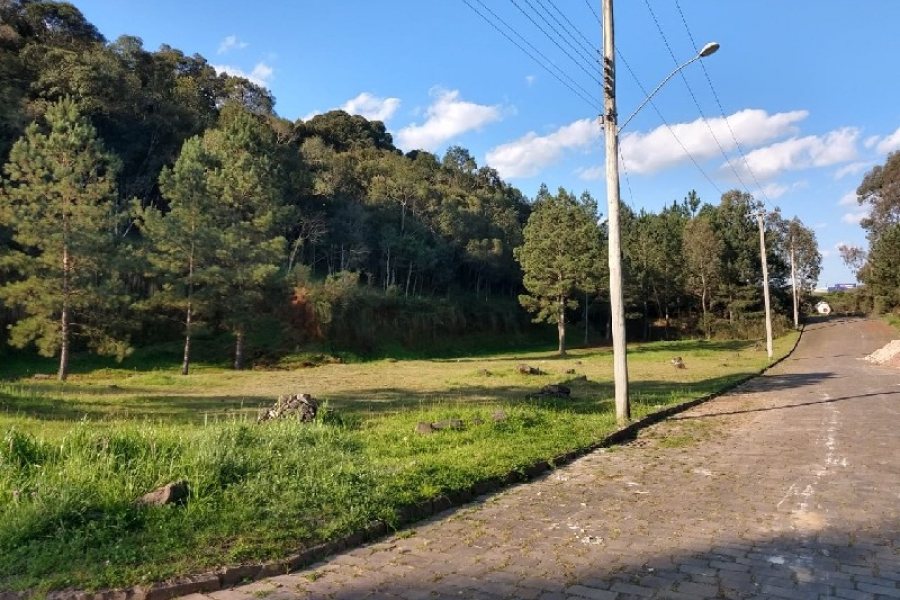 Terreno, no bairro São Giácomo em Caxias do Sul para Comprar