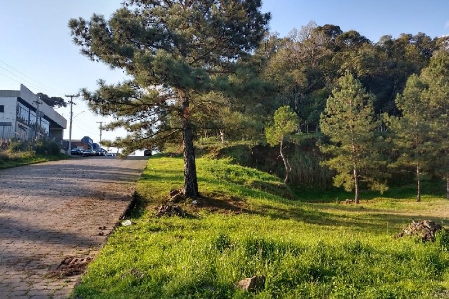 Terreno, no bairro São Giácomo em Caxias do Sul para Comprar