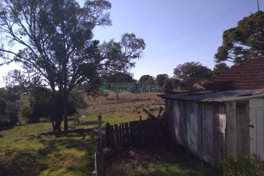 Chácara com 50m², 2 dormitórios, no bairro Criúva em Caxias do Sul para Comprar