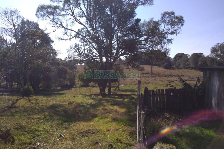 Chácara com 50m², 2 dormitórios, no bairro Criúva em Caxias do Sul para Comprar