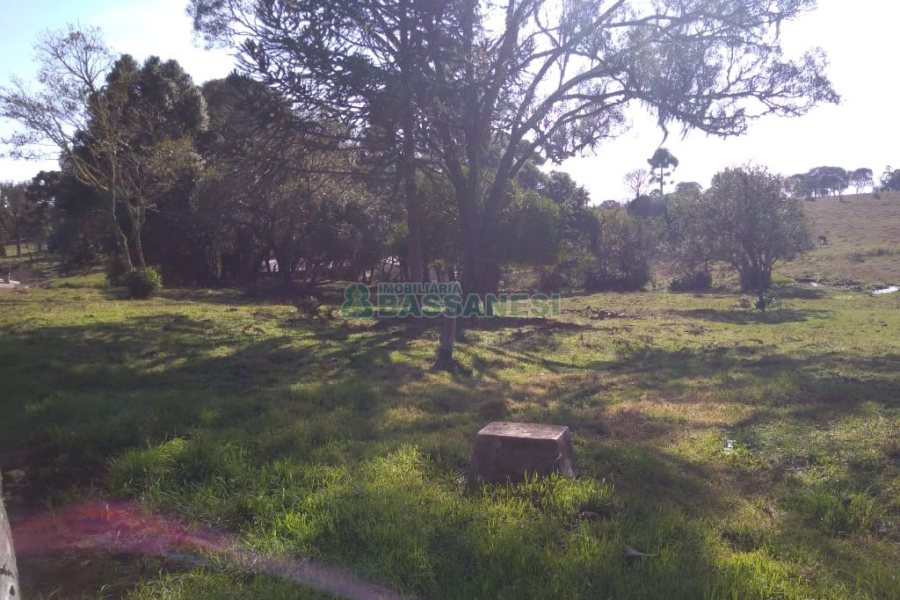 Chácara com 50m², 2 dormitórios, no bairro Criúva em Caxias do Sul para Comprar