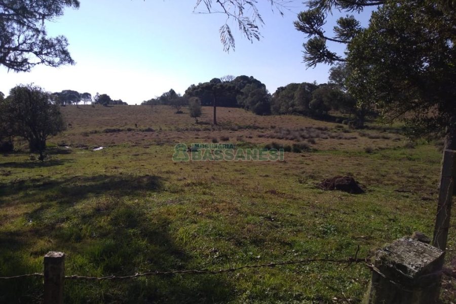 Chácara com 50m², 2 dormitórios, no bairro Criúva em Caxias do Sul para Comprar