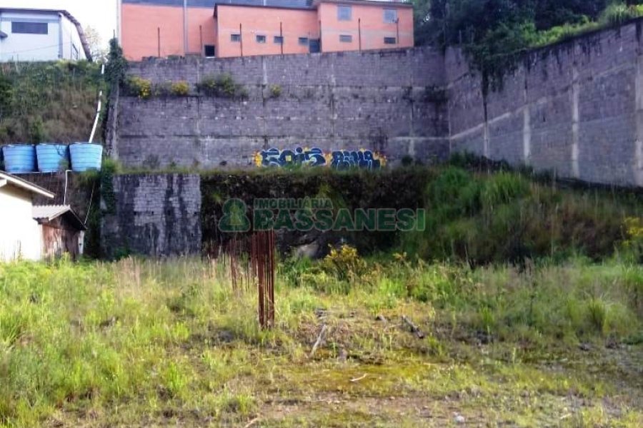 Terreno com 1261m², no bairro Sagrada Família em Caxias do Sul para Alugar ou Comprar