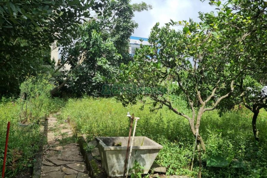 Casa com 201m², 3 dormitórios, no bairro Centro em Caxias do Sul para Comprar