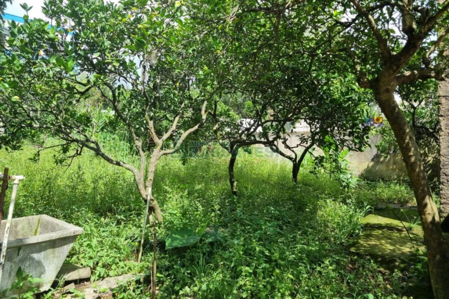 Casa com 201m², 3 dormitórios, no bairro Centro em Caxias do Sul para Comprar