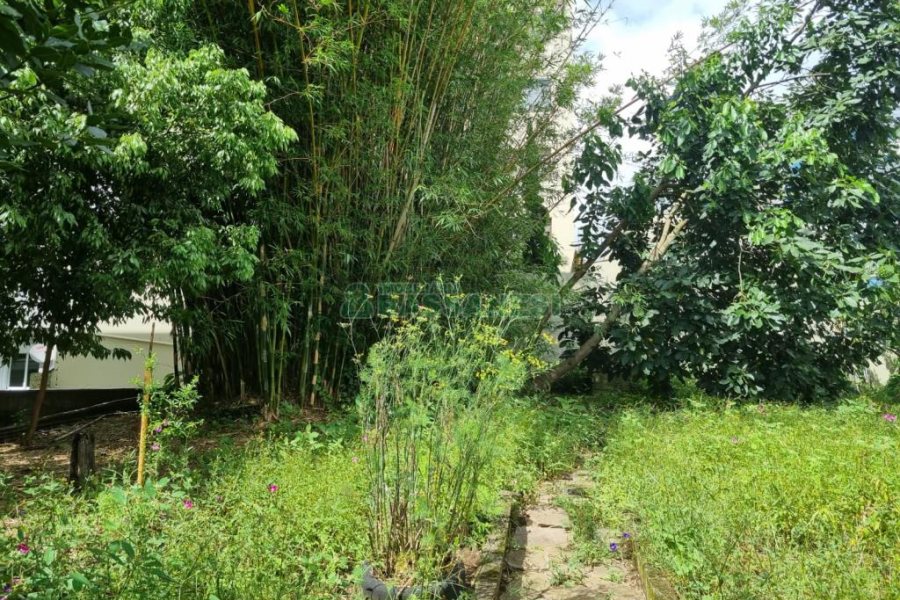 Casa com 201m², 3 dormitórios, no bairro Centro em Caxias do Sul para Comprar