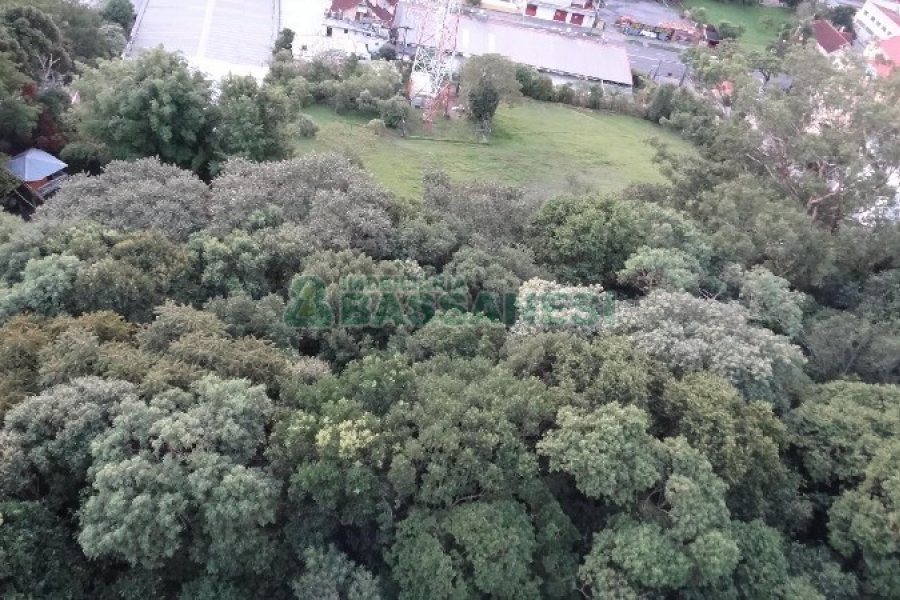 Apartamento com 78m², 2 dormitórios, 1 vaga, no bairro Panazzolo em Caxias do Sul para Alugar