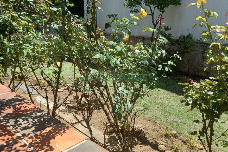 Casa com 289m², 3 dormitórios, 2 vagas, no bairro Medianeira em Caxias do Sul para Comprar