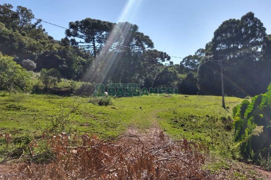 Terreno com 22554m², no bairro Pioneiro em Caxias do Sul para Comprar