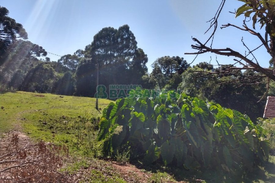 Terreno com 22554m², no bairro Pioneiro em Caxias do Sul para Comprar